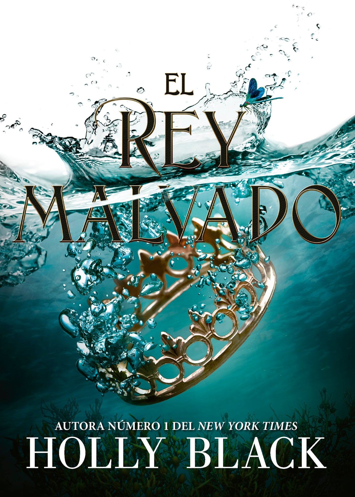 El rey malvado -  Los habitantes del aire 2